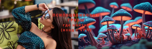 дмт Абинск
