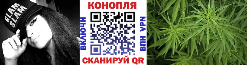 купить наркотик  гидра вход  Бошки Шишки ГИДРОПОН  Мирный 